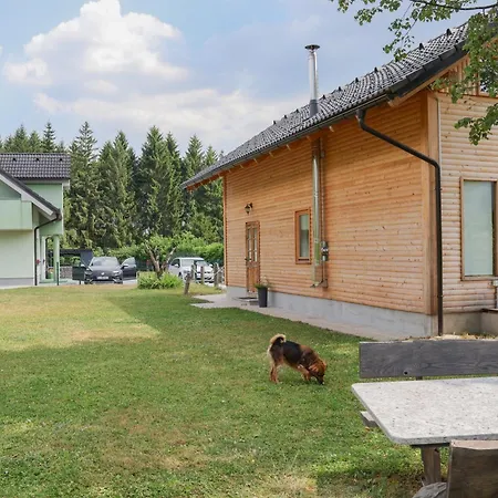 Prázdninový dům Abc Apartma Kocevsko